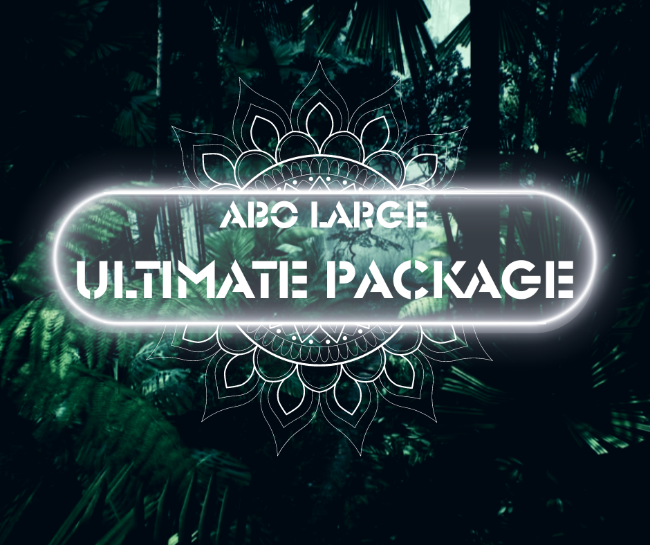 Abo Small Boost Basics2