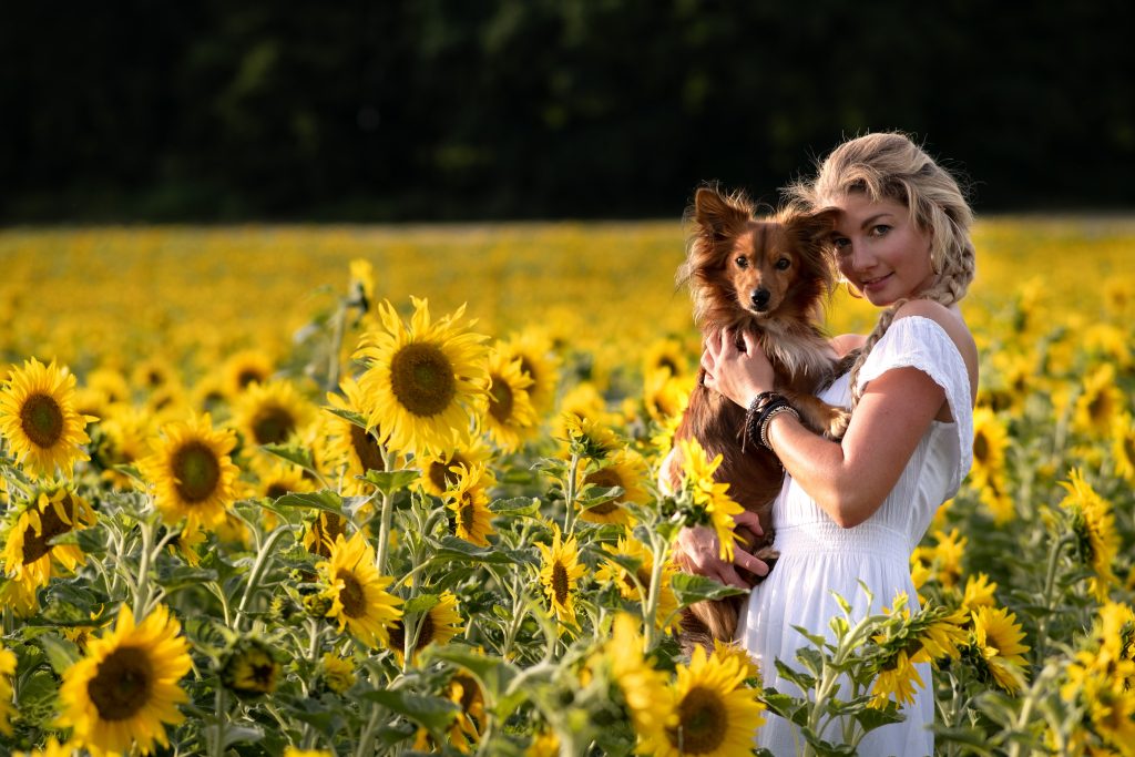 Hugo und Lisa Sonnenblumen 2 ohne Logo